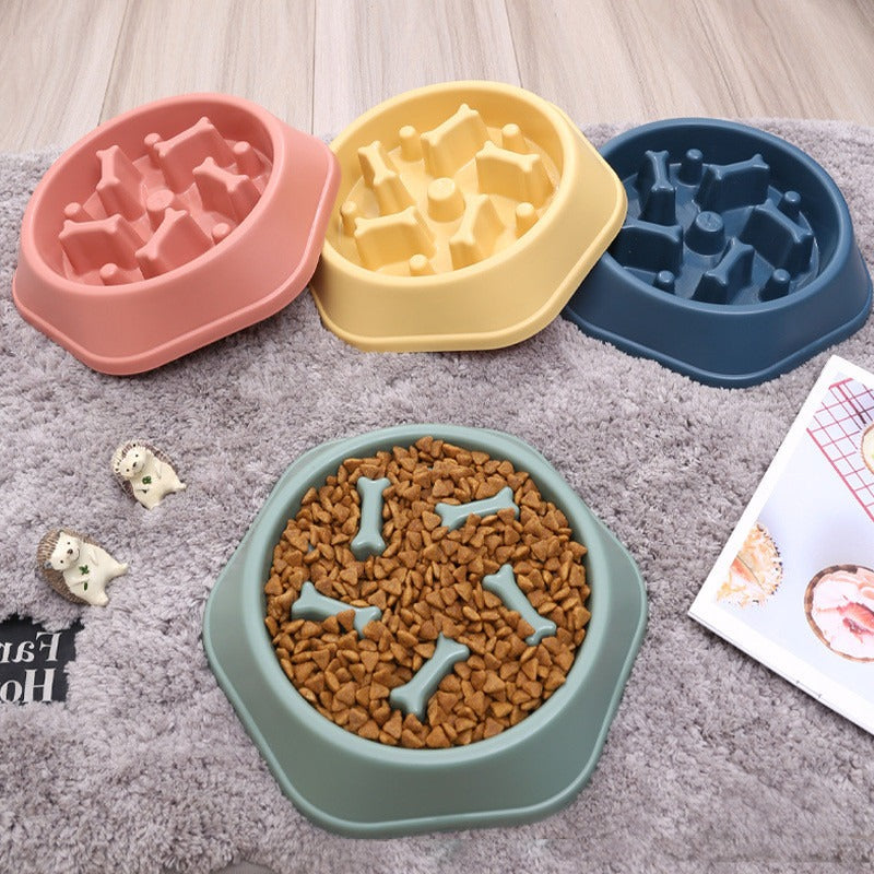 Bone Slow Dog Bowl