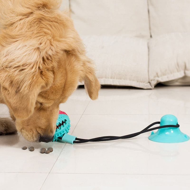 Dog Bite-Resistant Molar Toy Ball