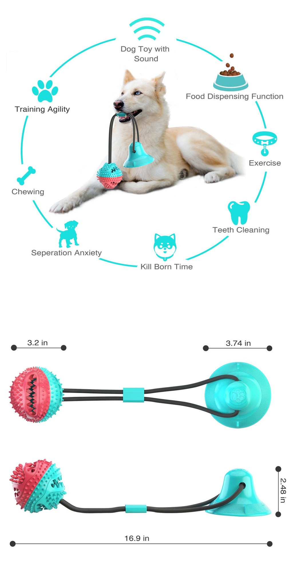Dog Bite-Resistant Molar Toy Ball